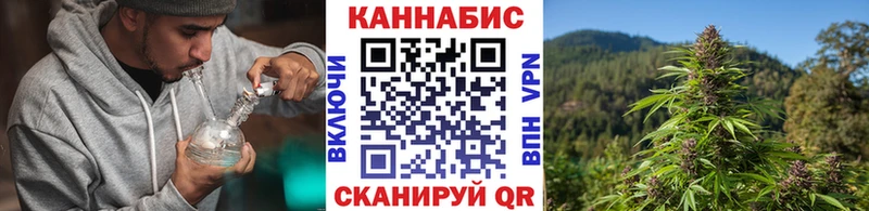 Купить где  Добрянка  Шишки марихуана VHQ 